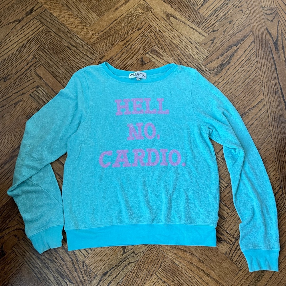 Wildfox sweater “hell no cardio” bubble bath blue